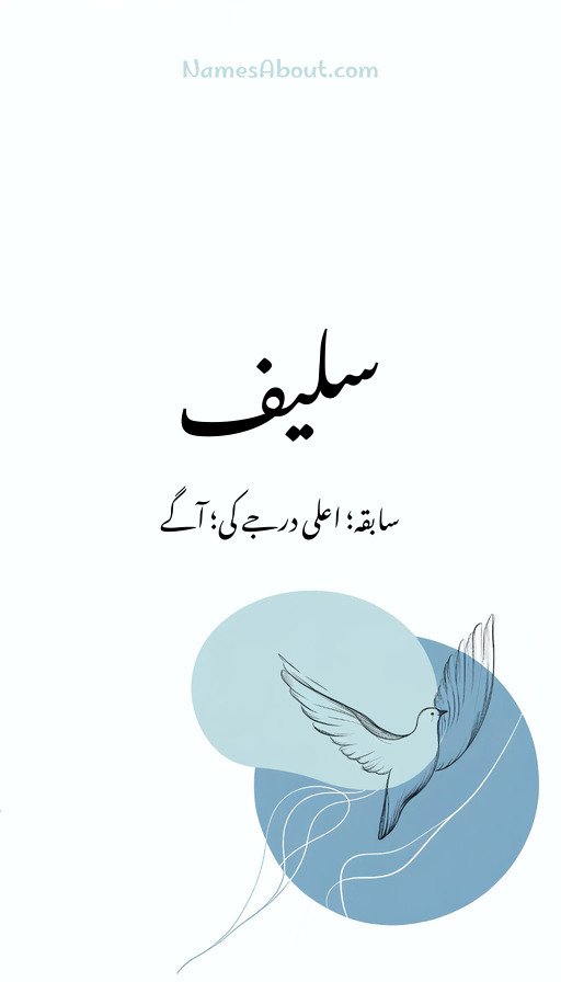 سلیف