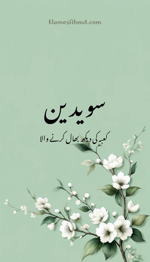 سویدین