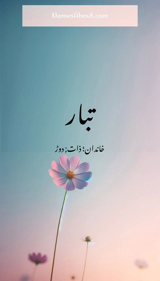 تبار