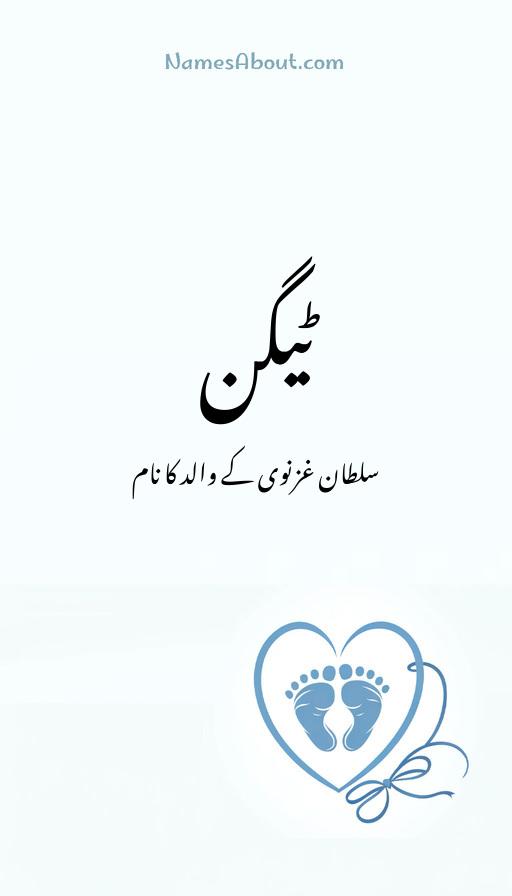 ٹیگن