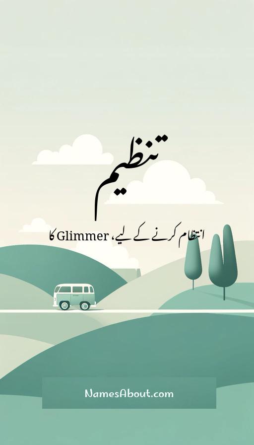 تنظیم