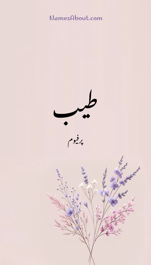 طیب