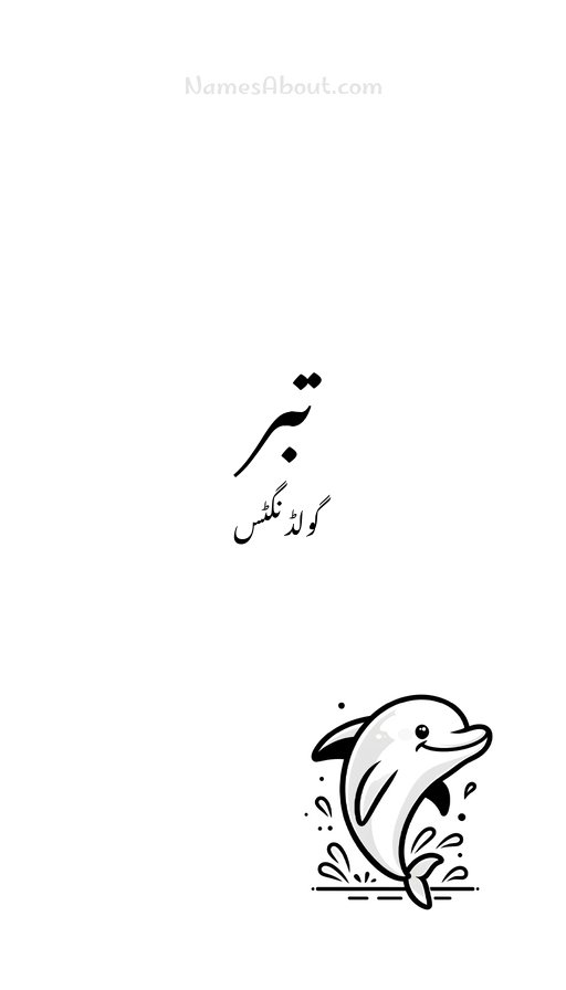 تبر