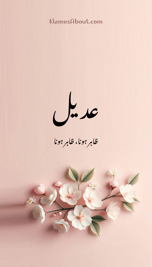 عدیل