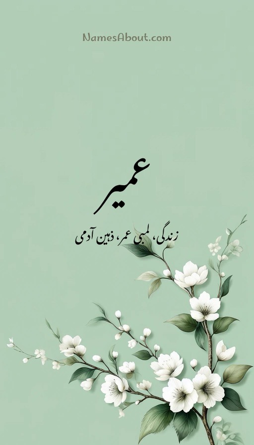 عمیر