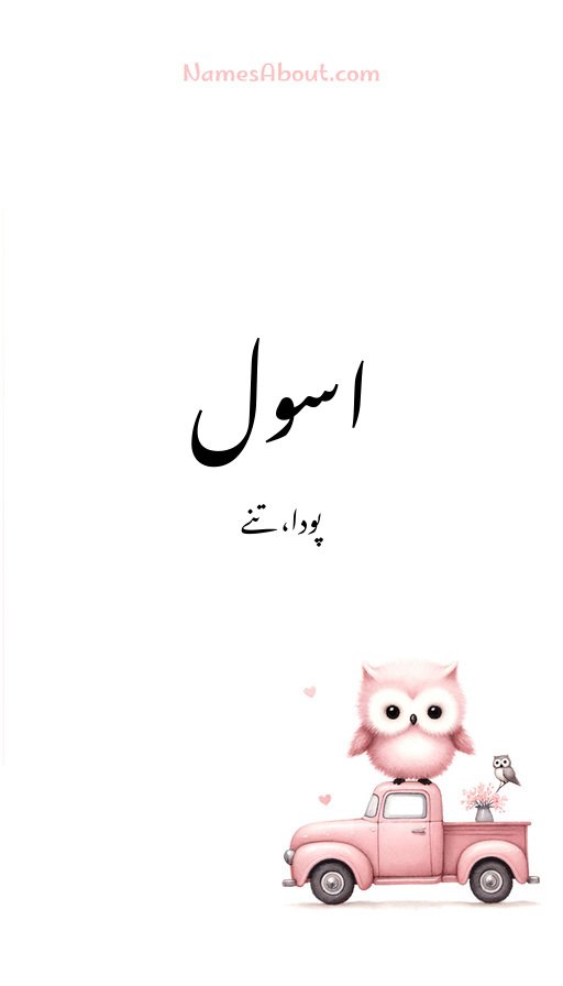 اسول