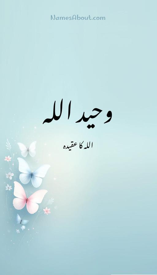 وحید اللہ