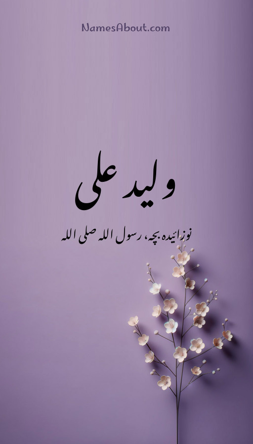 ولید علی