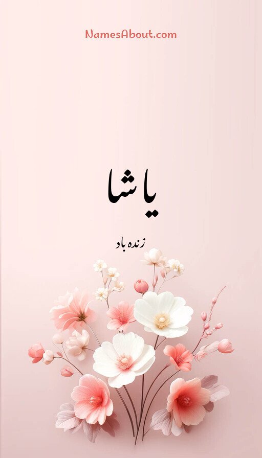 یاشا