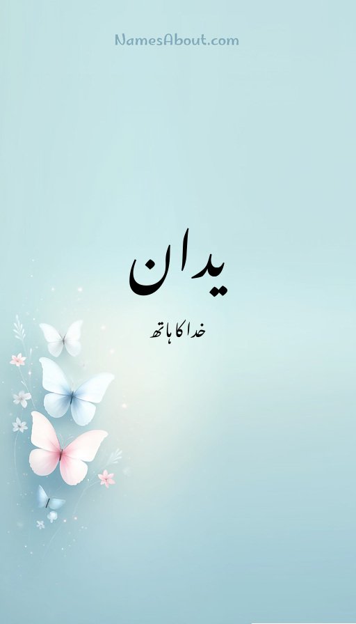 یدان