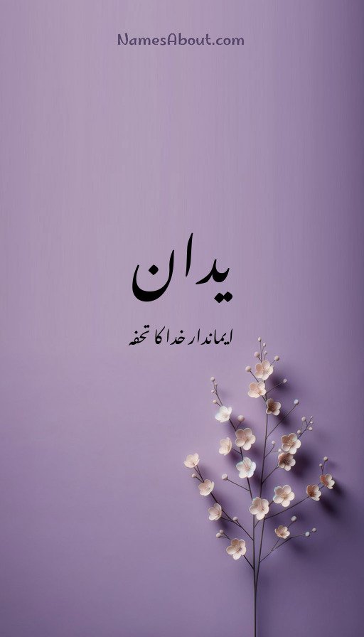 یدان