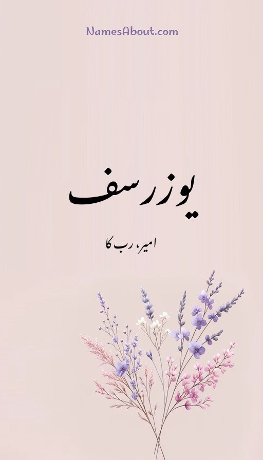 یوزرسف