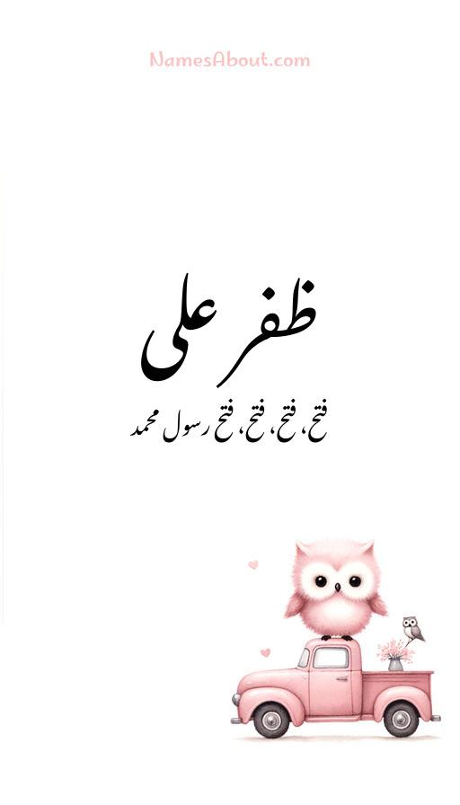 ظفر علی