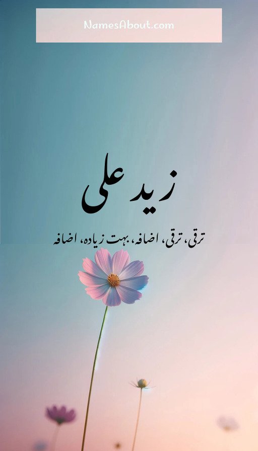 زید علی