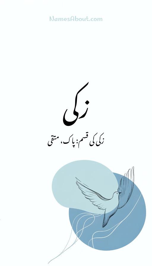 زکی