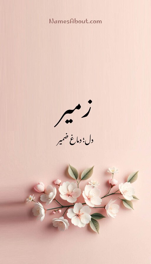 زمیر
