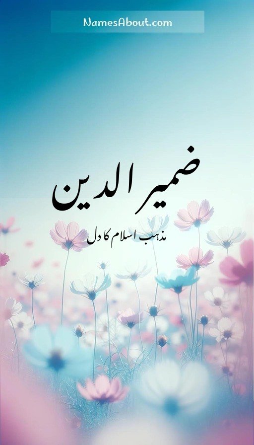 ضمیر الدین