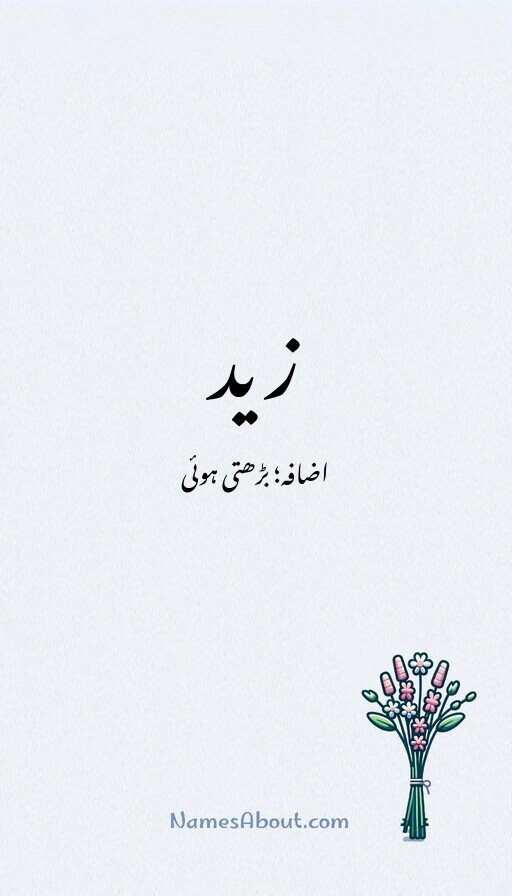 زید