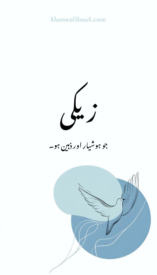 زیکی