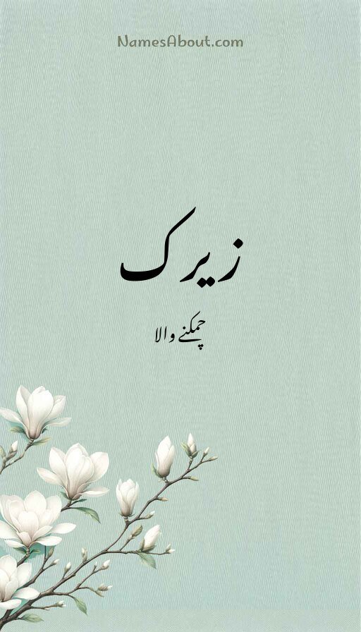 زیرک