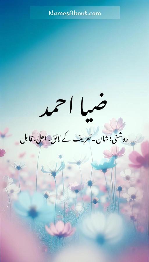 ضیا احمد