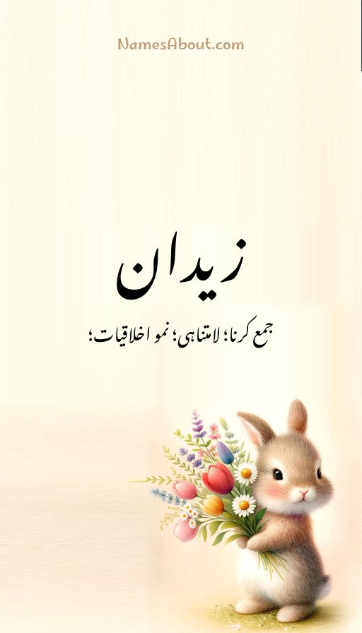 زیدان