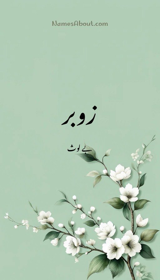 زوبر