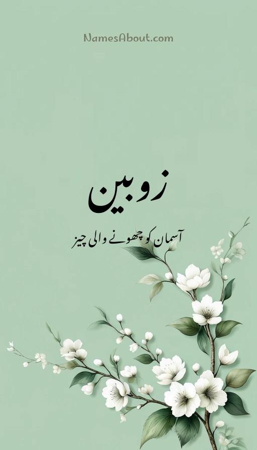 زوبین