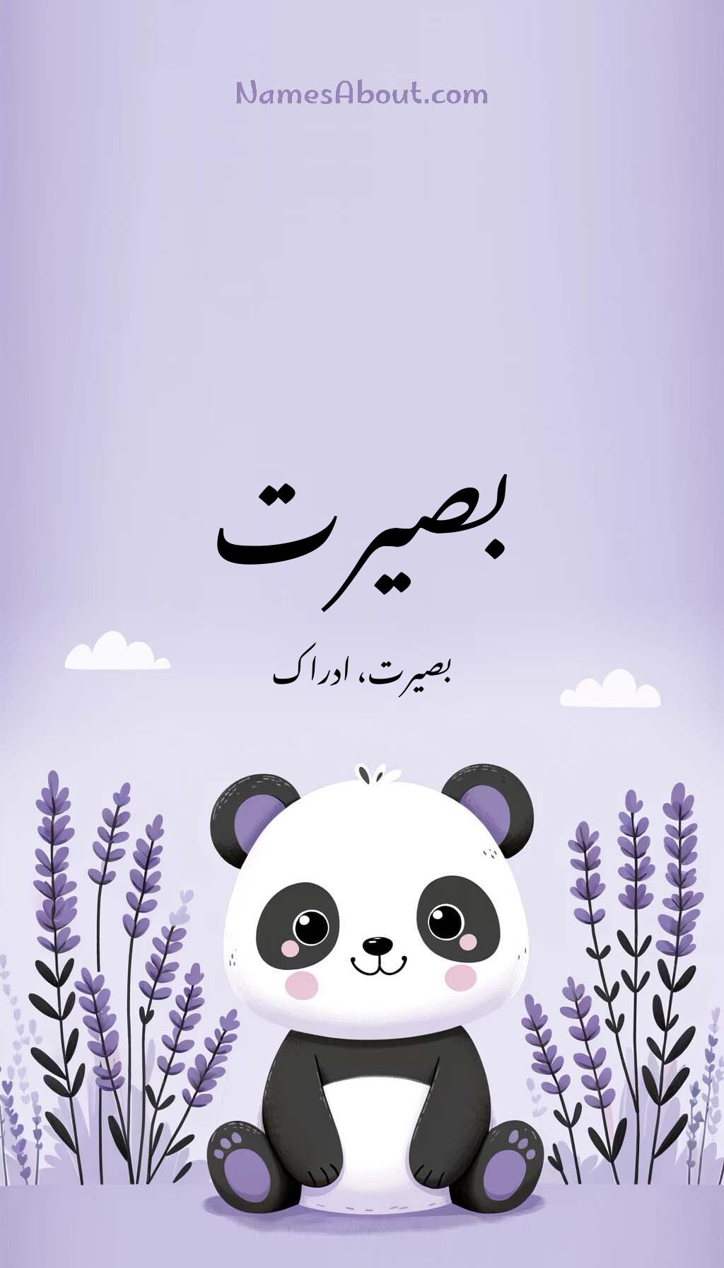 بصیرت