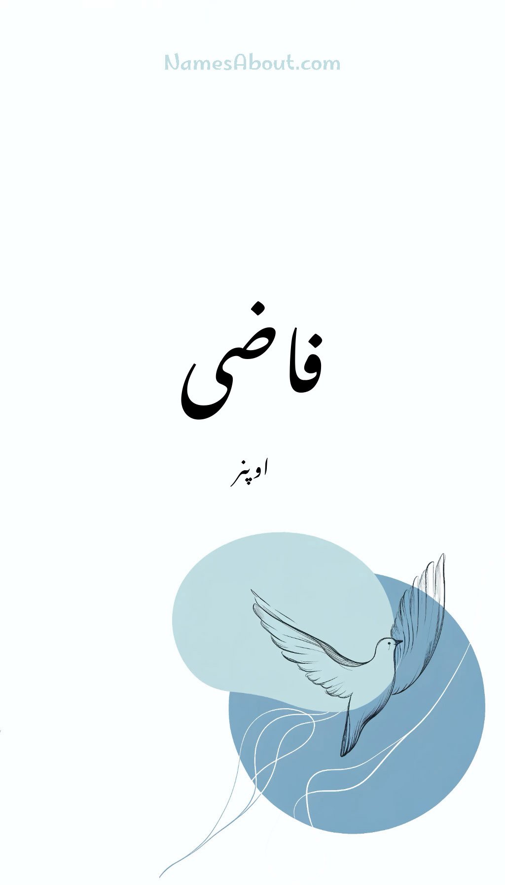 فاضی