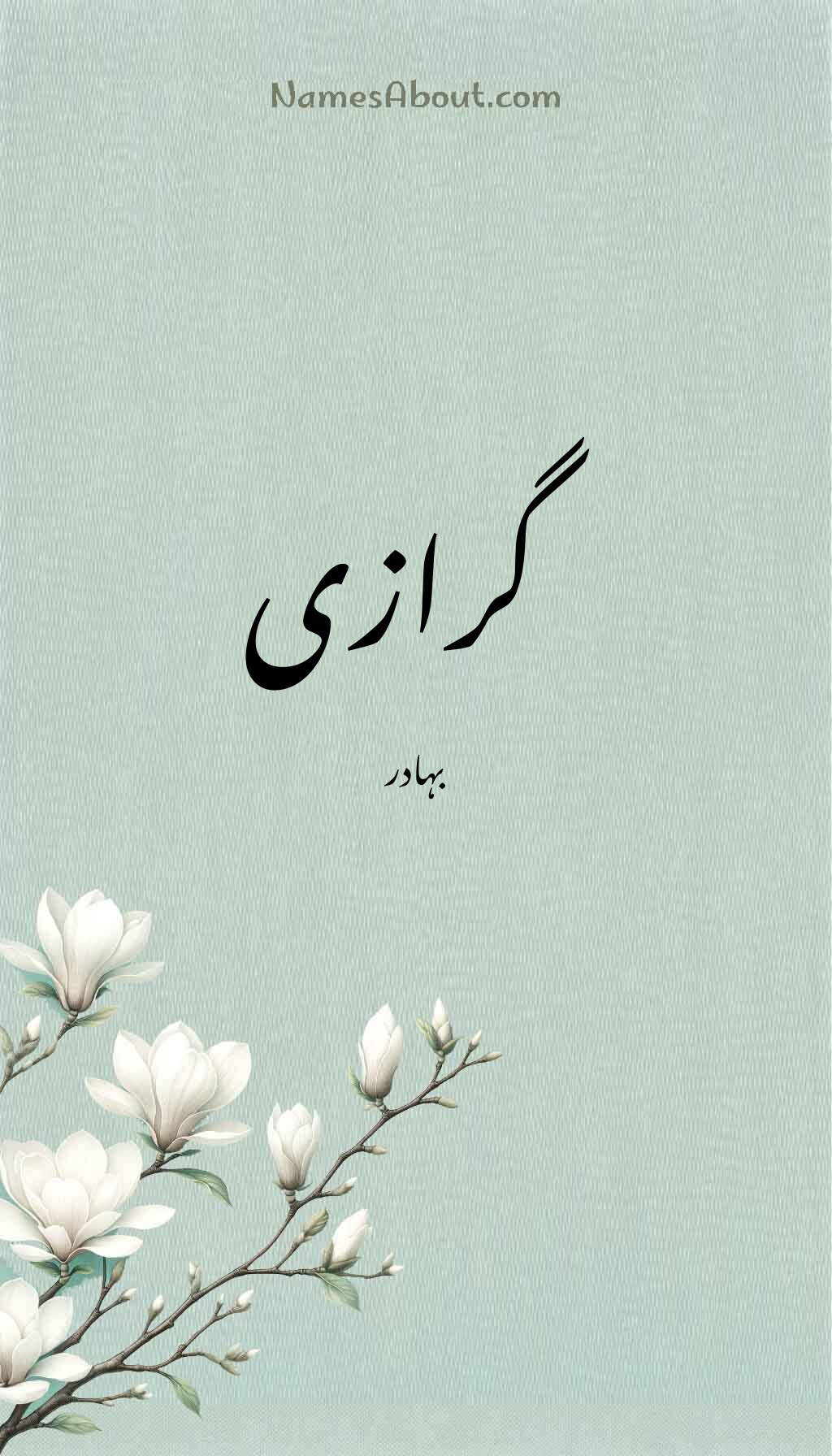 گرازی