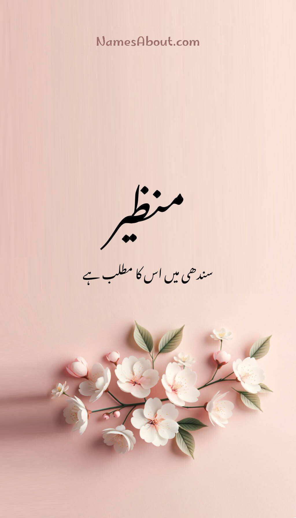 منظیر