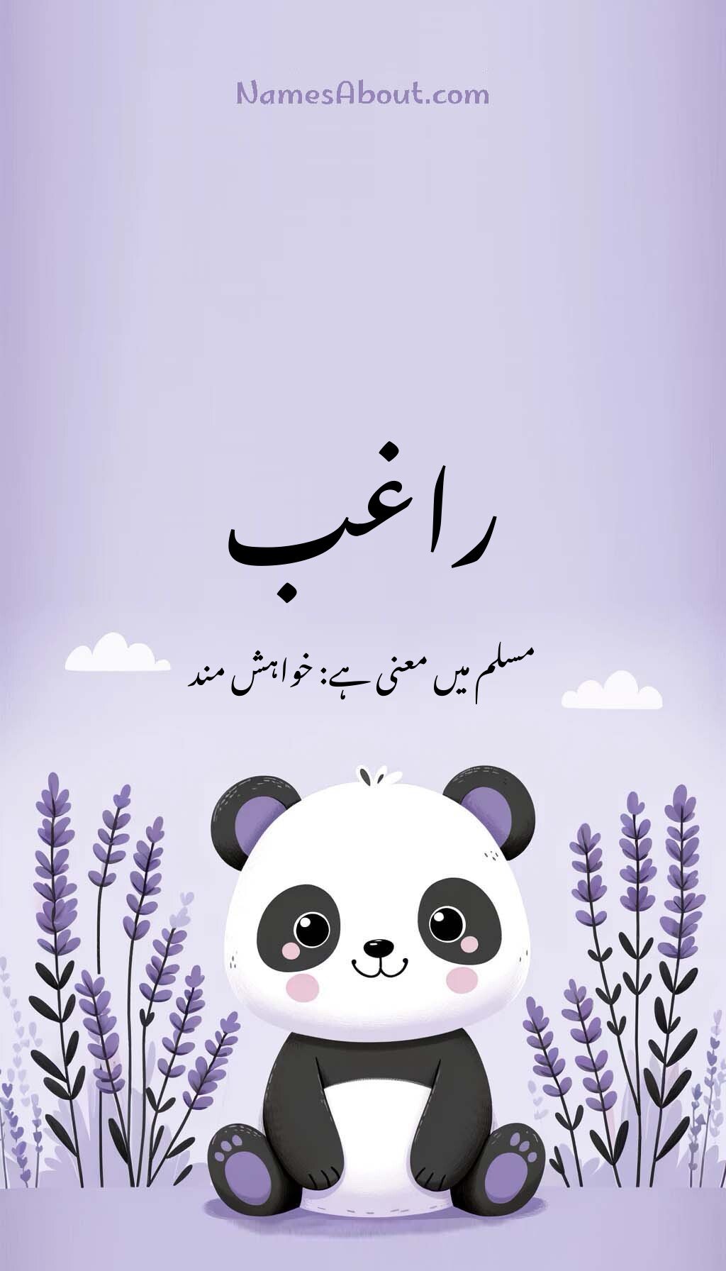 راغب