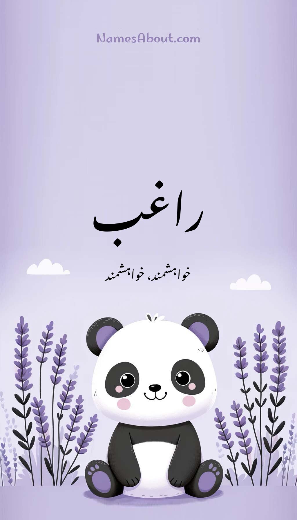 راغب