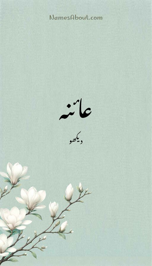 عائنہ