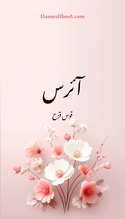آئرس