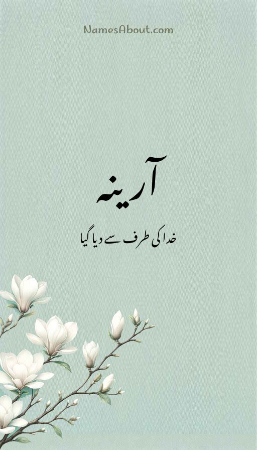 آرینہ
