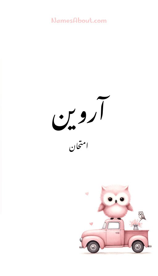 آروین