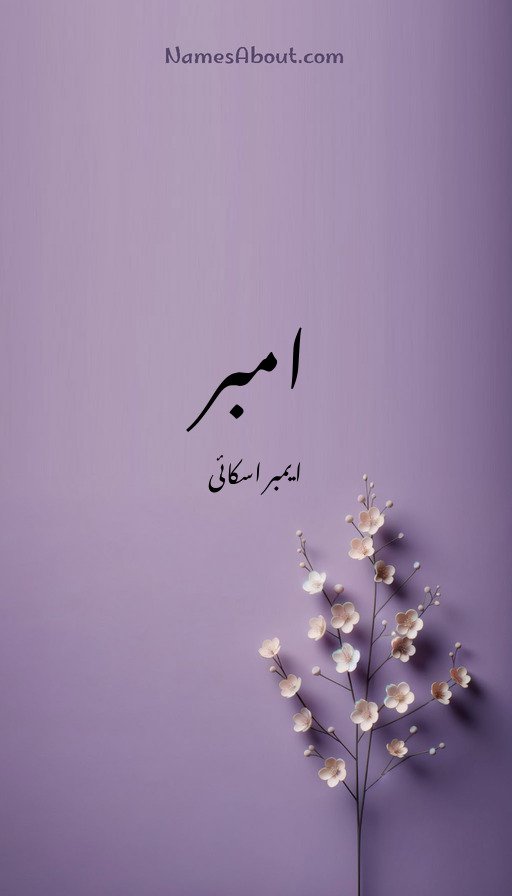 امبر