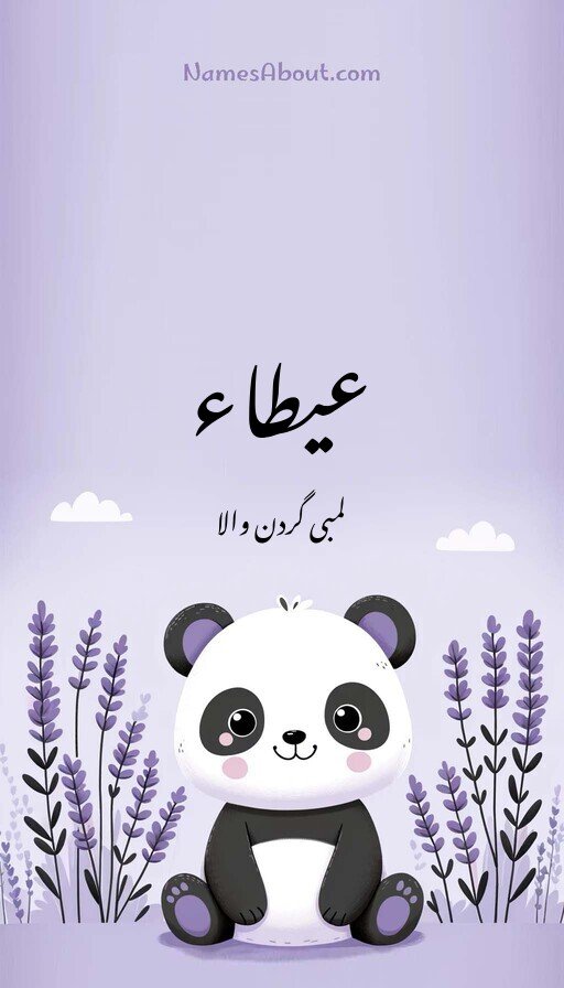 عیطاء