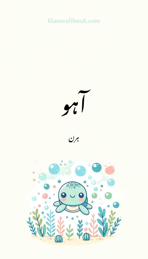 آہو