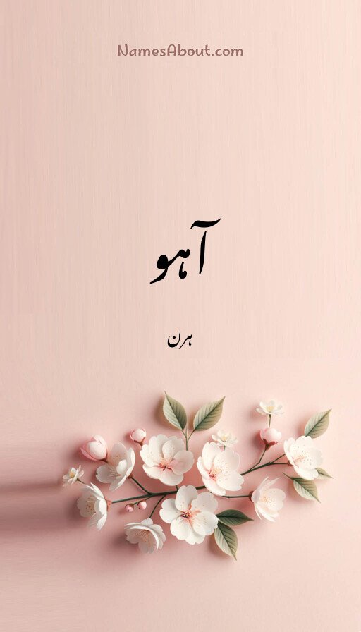 آہو
