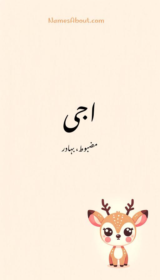 اجی