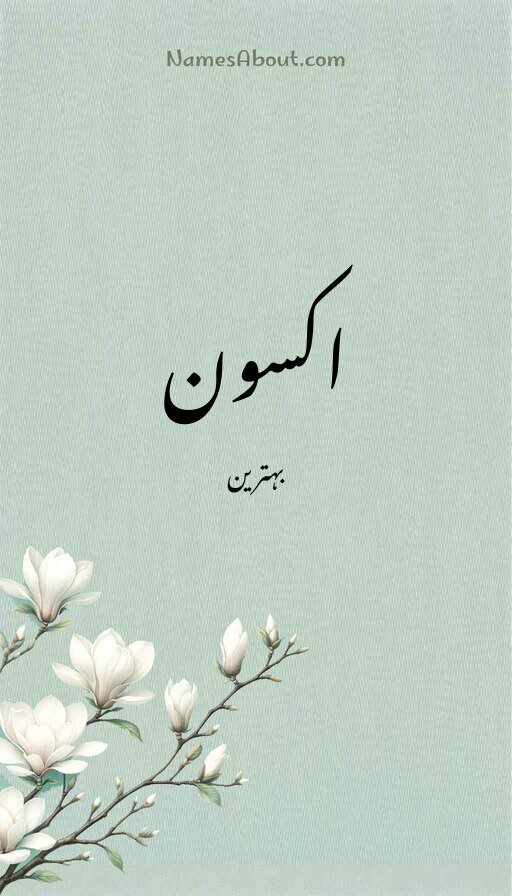 اکسون