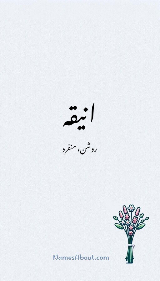 انیقہ
