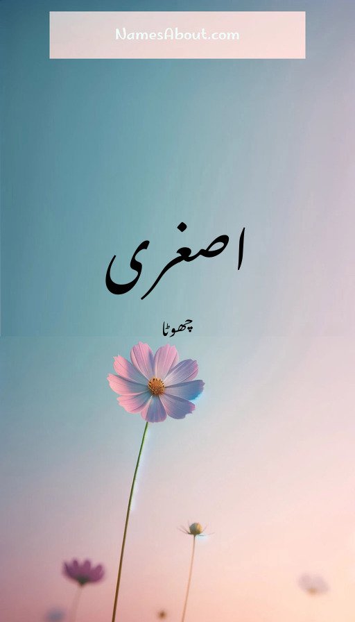 اصغری
