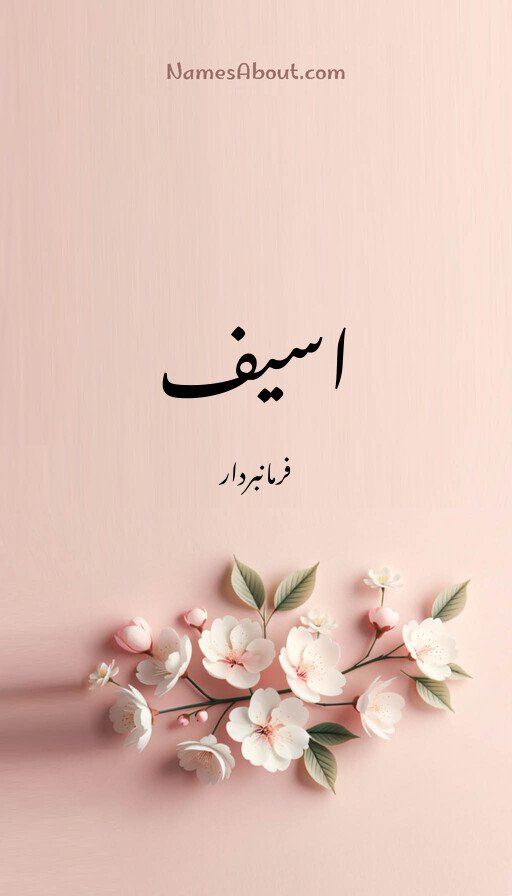 اسیف
