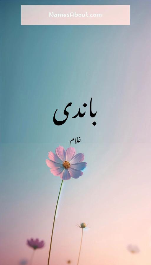 باندی