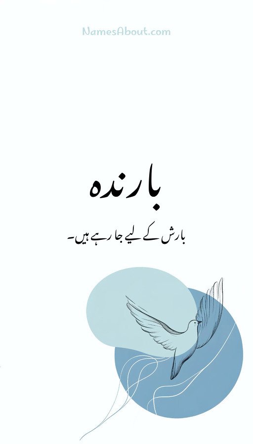 بارندہ