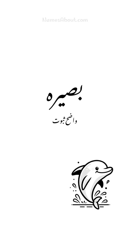 بصیرہ